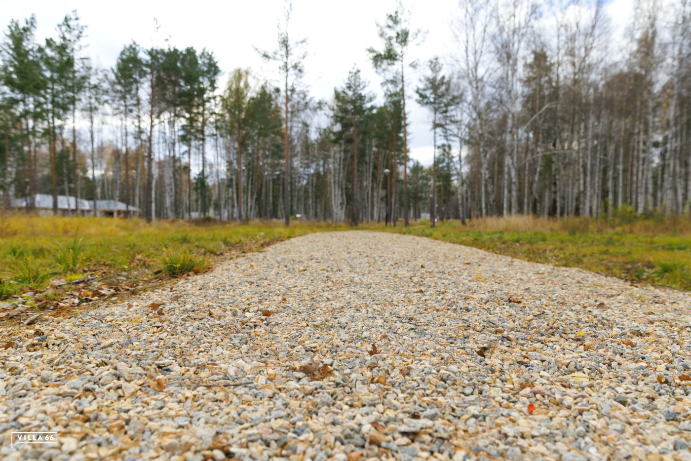 Прогулочная аллея в поселке Агат
