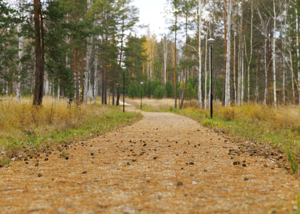 Элитные посёлки «Заповедника»: жизнь на премиальном уровне №4