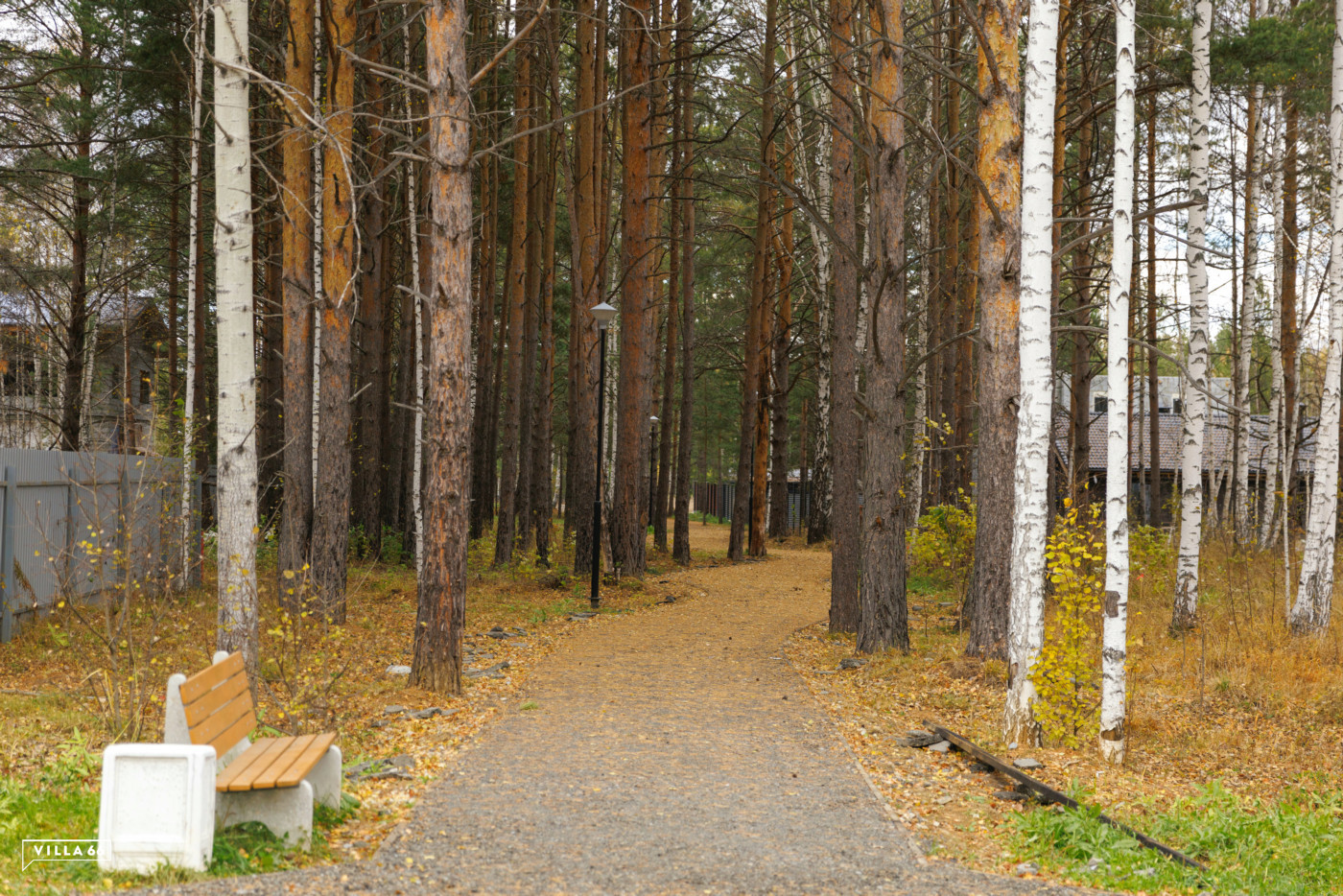 Прогулочная аллея в поселке Заповедник