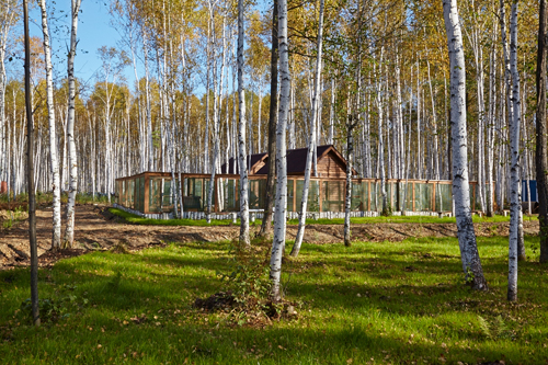 Заповедная жизнь — недалеко от вас №2