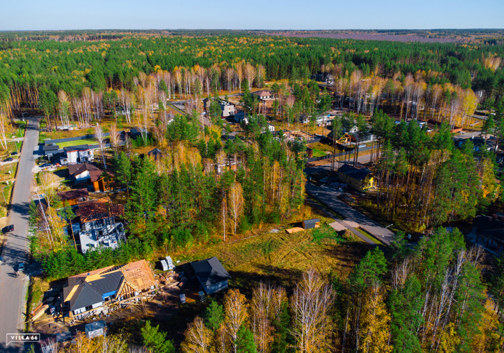 Выбор между участком с лесом и участком на солнечной поляне №1