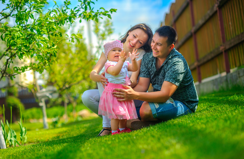 Ипотека для загородной недвижимости: снижение процента №1