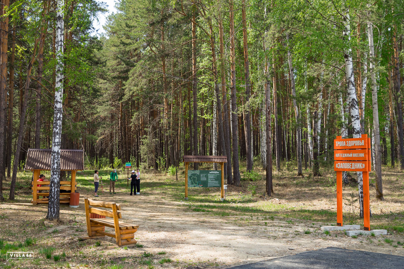 Тропа здоровья: особенности и преимущества №2