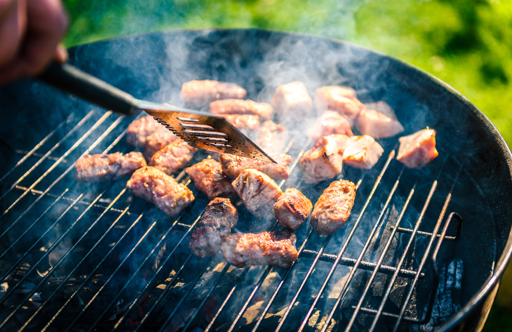 Пикник как семейная традиция №1