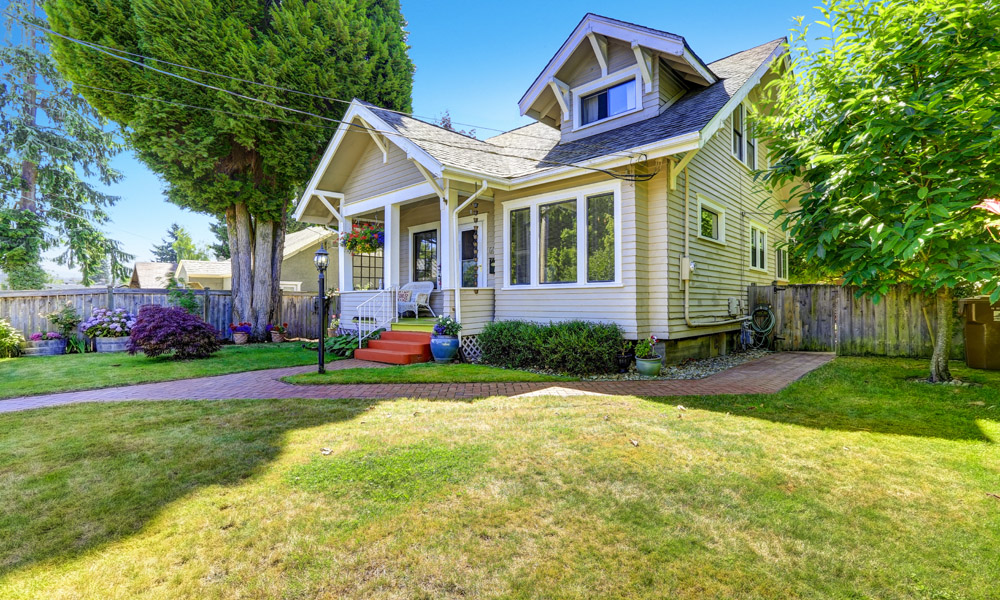 Как посадить газон на участке? №2