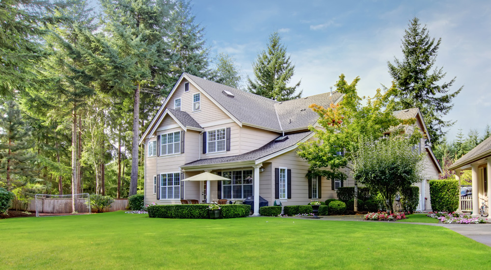 Открыты продажи в новом коттеджном поселке "Лесной" №1