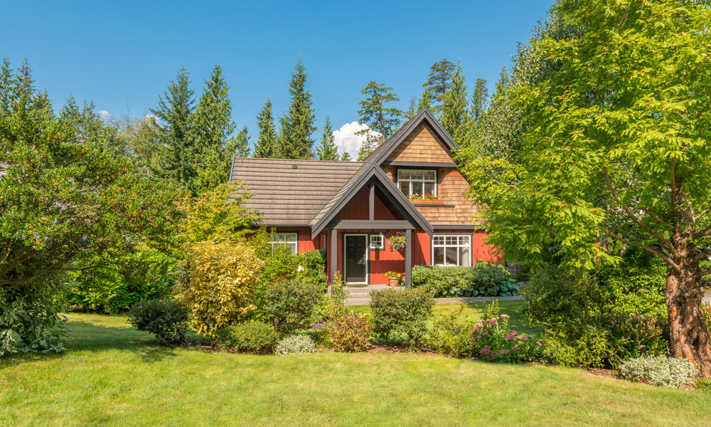 Как посадить газон на участке? №1