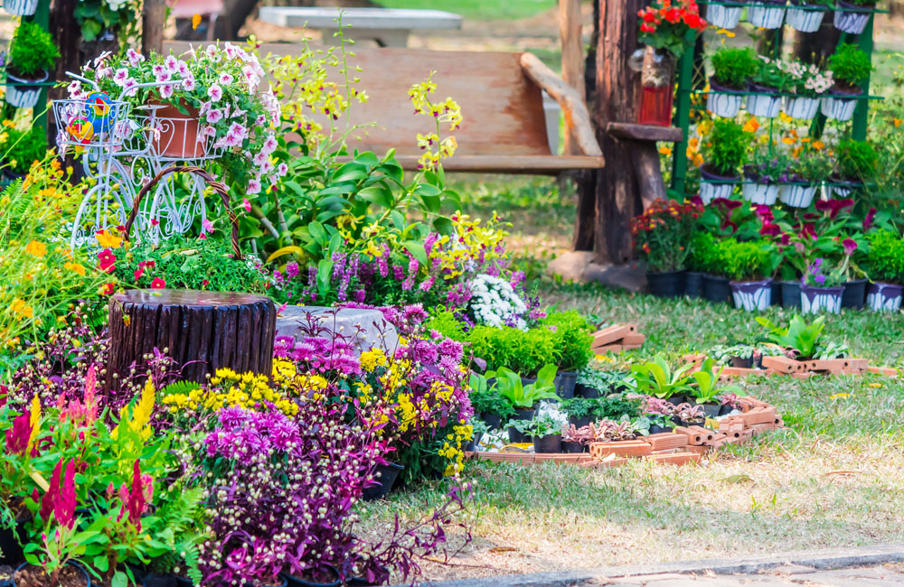 Участки сельхозназначения - что это такое №1