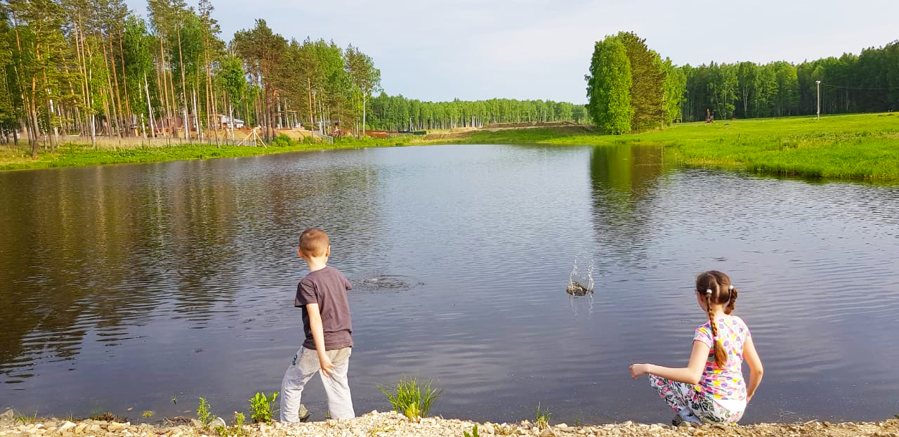 Дети закричали: «Да-да-да, нам надо дачу» №1