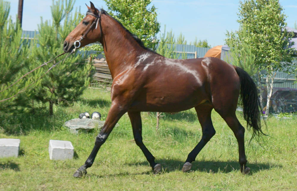 Пополнение в контактном зоопарке "Заповедника"! №1