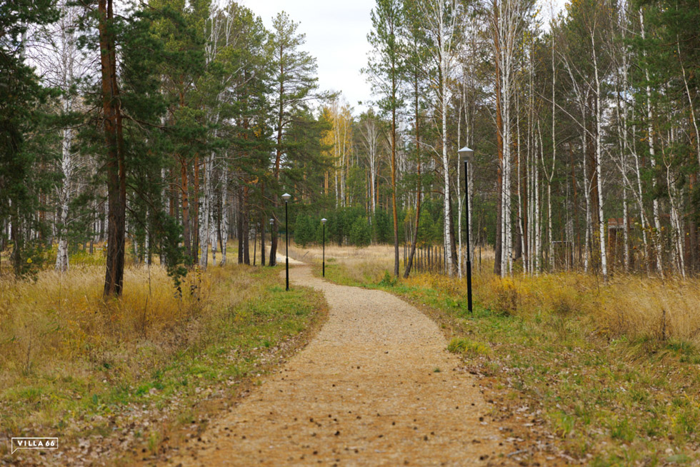 Тропа здоровья: особенности и преимущества №1