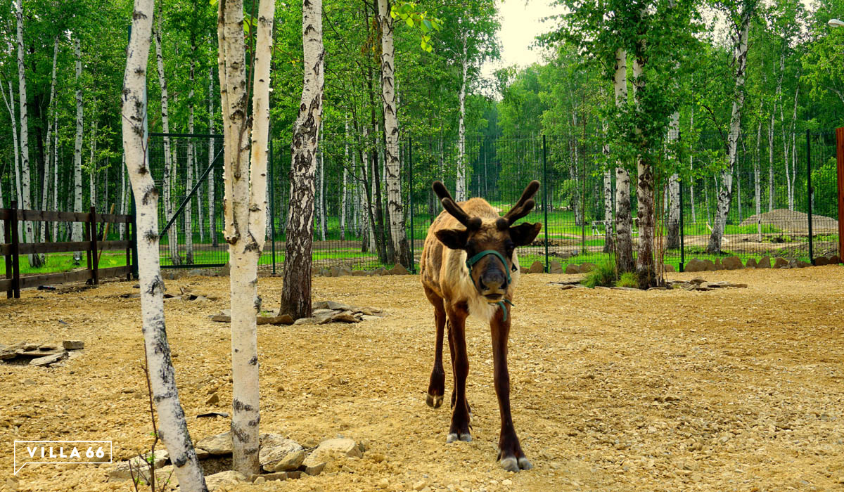 План развития коттеджного поселка "Заповедник" на 2017/18 год №3