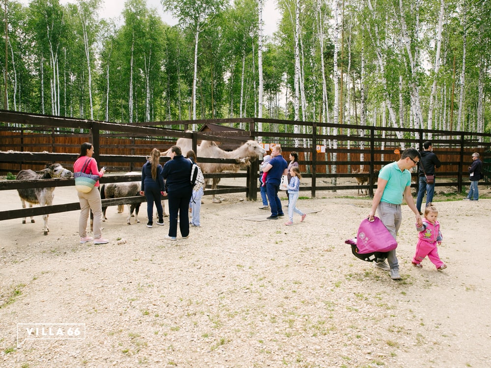 Коттеджный поселок БУДУЩЕГО - миф или реальность? №3