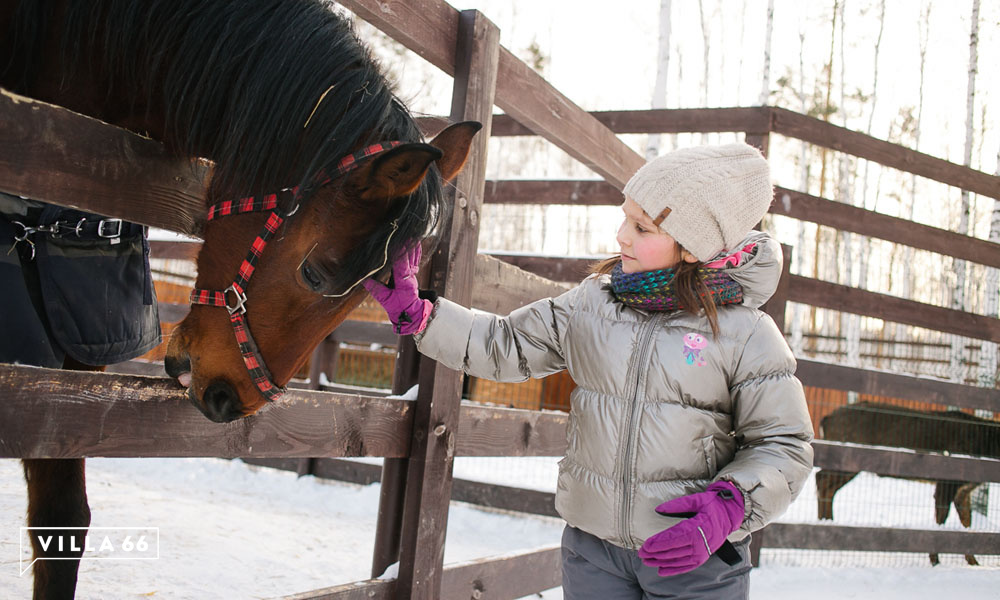 "Город развлечений" для детей в "Заповеднике" №5