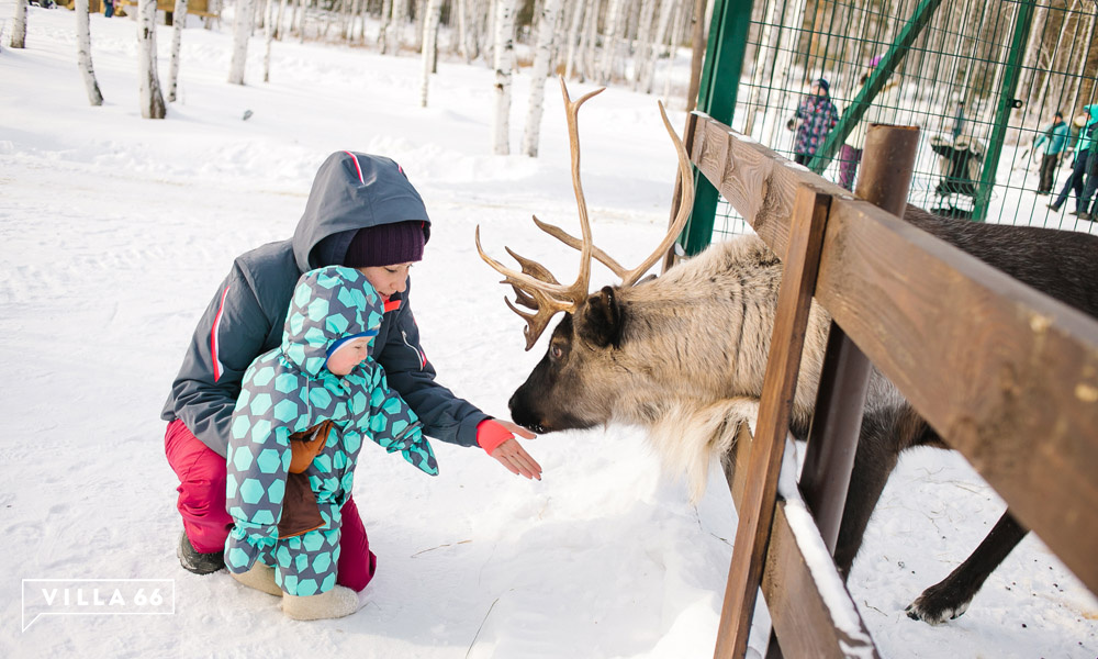 Итоги проведенных работ за 2017 год в коттеджном поселке «Заповедник» №2