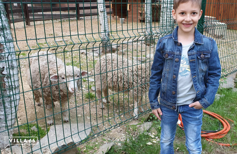 Жизнь без леса для меня какая-то не настоящая №3