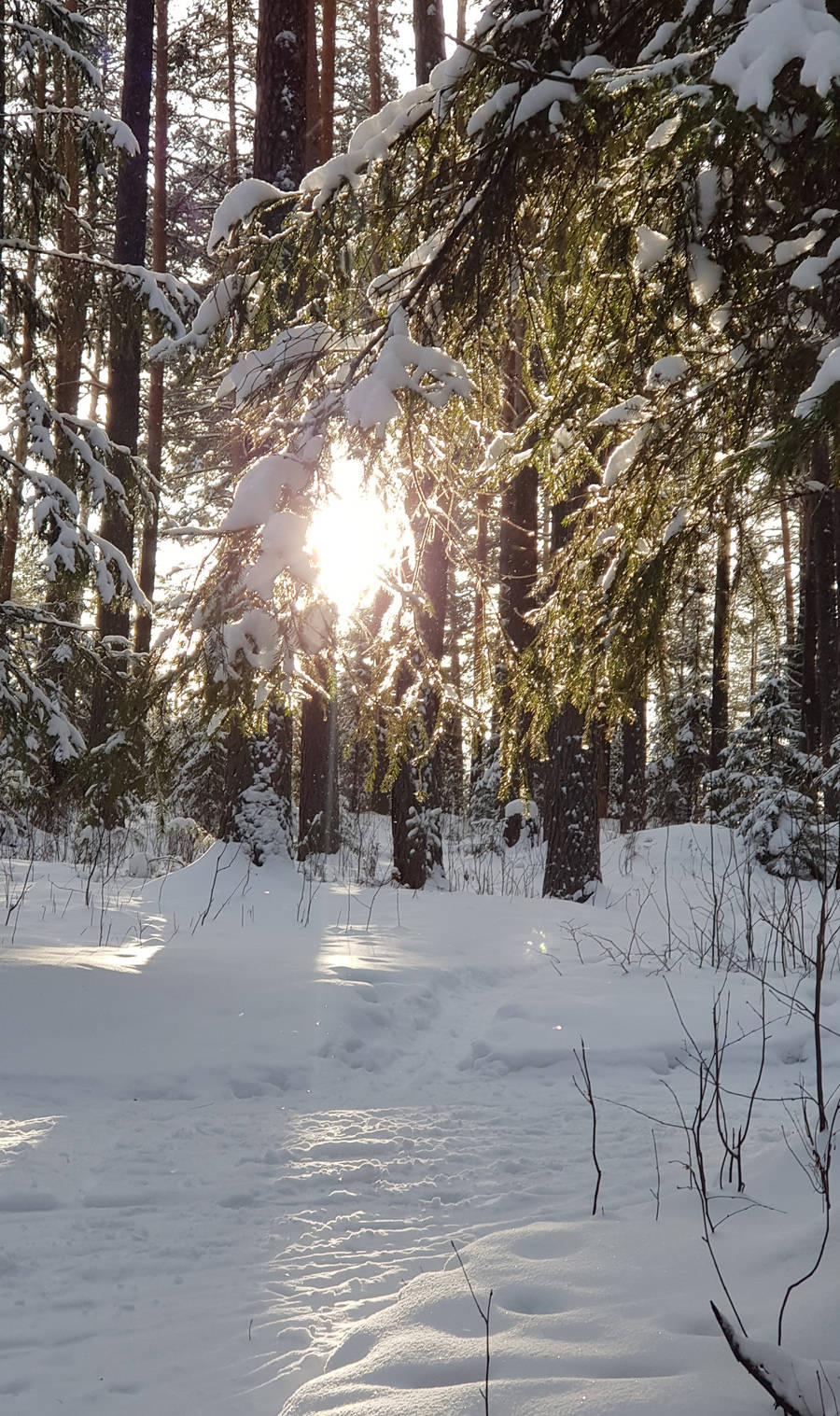 Место, где будет интересно и нам, и нашим детям, и внукам. №2