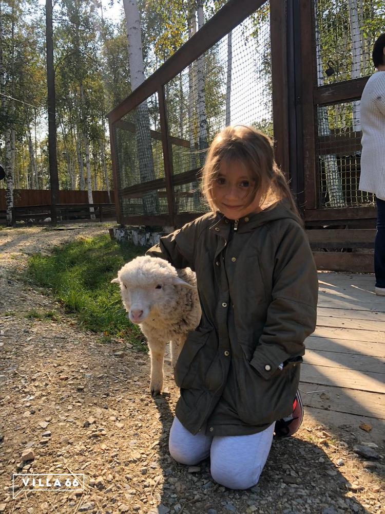 Когда дача - предмет первой необходимости №3