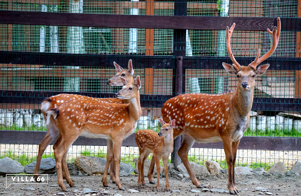 График работы отдела продаж в майские праздники 2019 г. Все за город! №1