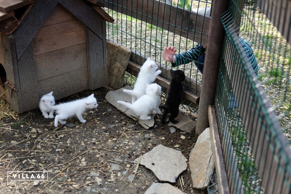 Когда проезжаю шлагбаум – сразу выключаю аудио и открываю окна в машине! №3