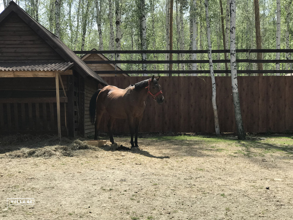 Новый житель зоопарка №1