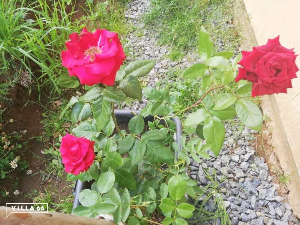 Переехали в «Заповедник» и записались в школу №4