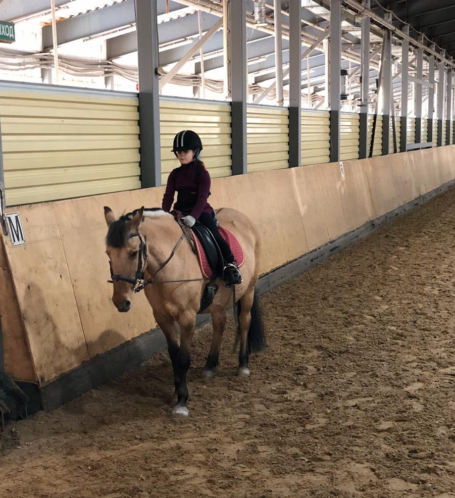 После того, как мы увидели «Заповедник», больше не искали №1