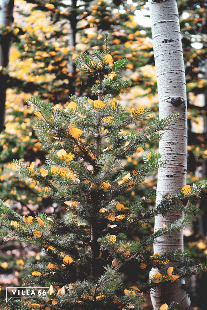 Жизнь за городом – мир, который мы создаем своими руками №3
