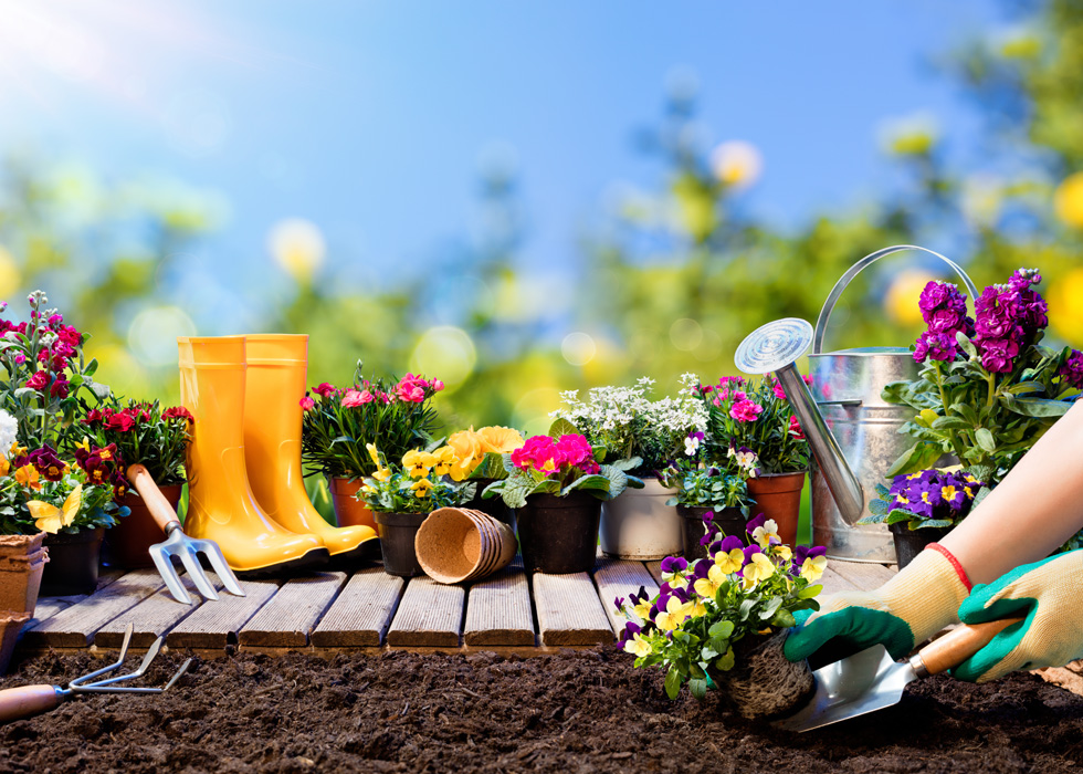 Как выбрать участок земли для строительства №3