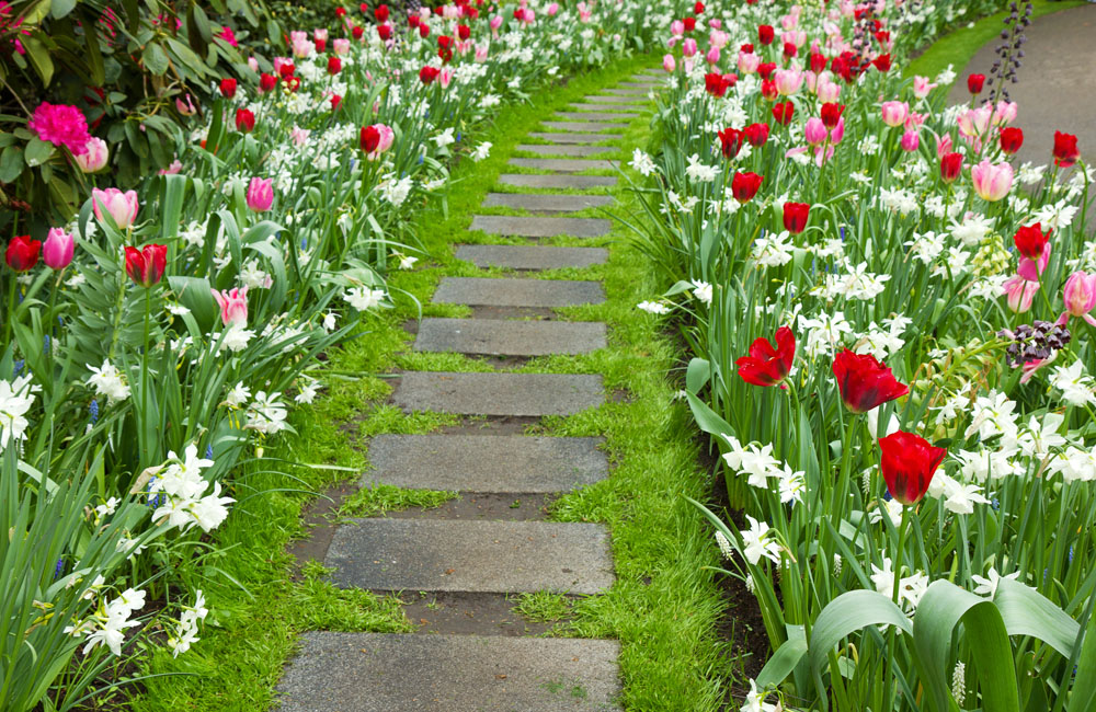 5 шагов к уютному ландшафтному дизайну №2