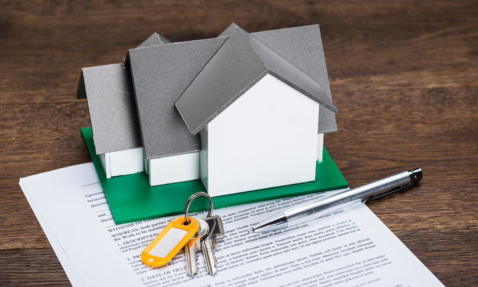 Как купить земельный участок №3