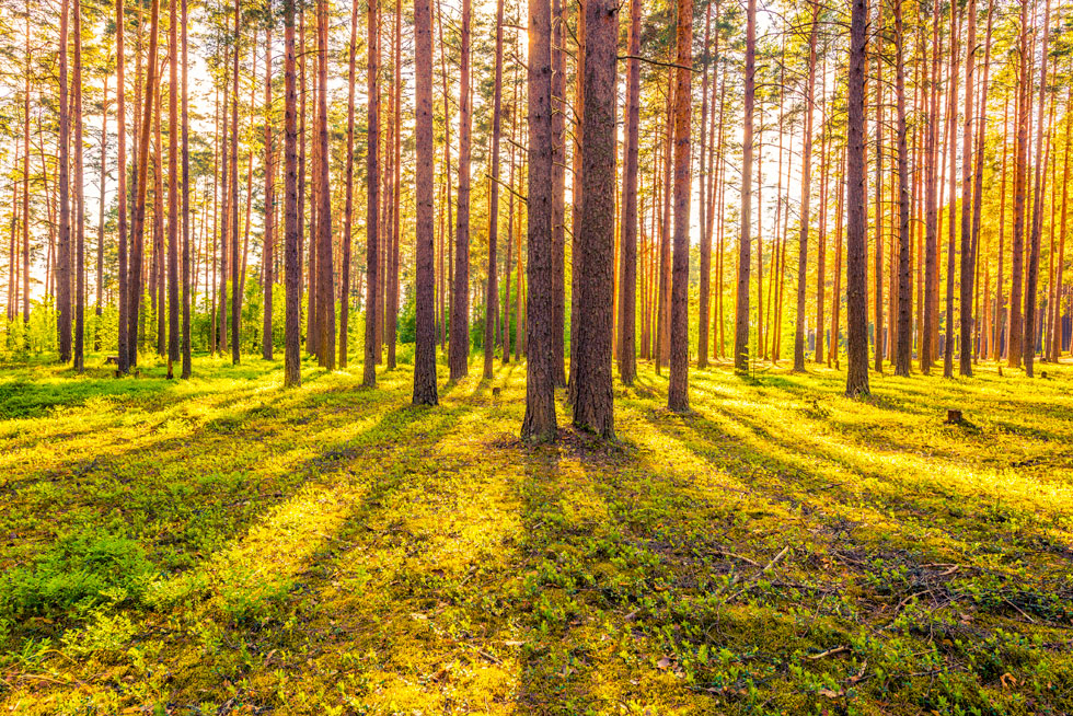 Этапы строительства частного дома №1