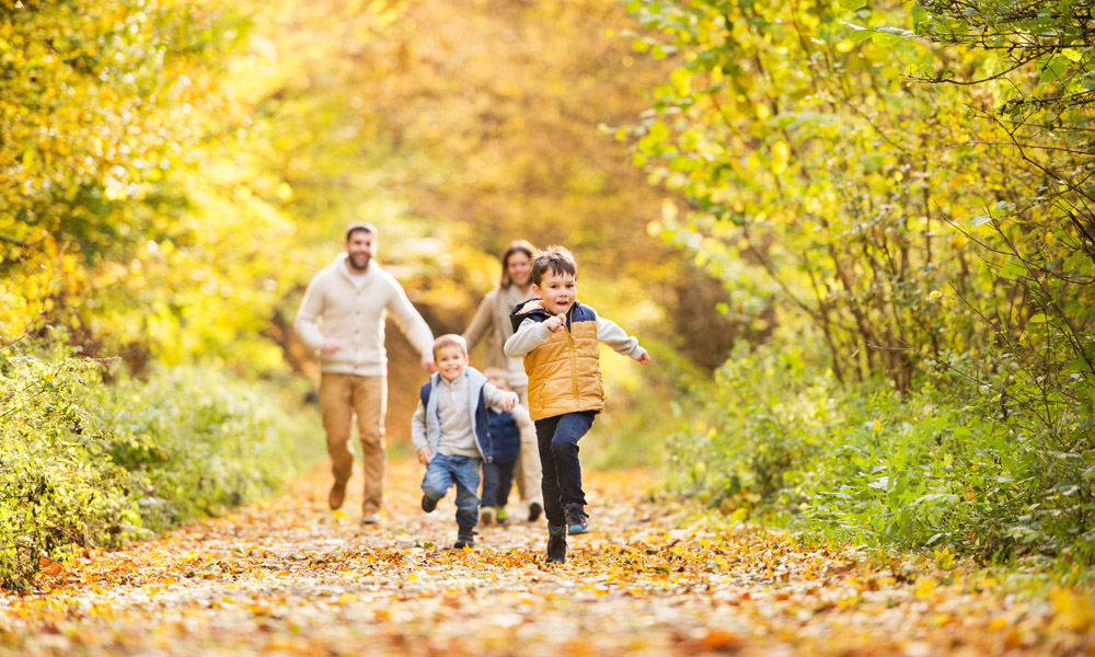 Влияние запахов на сон №2