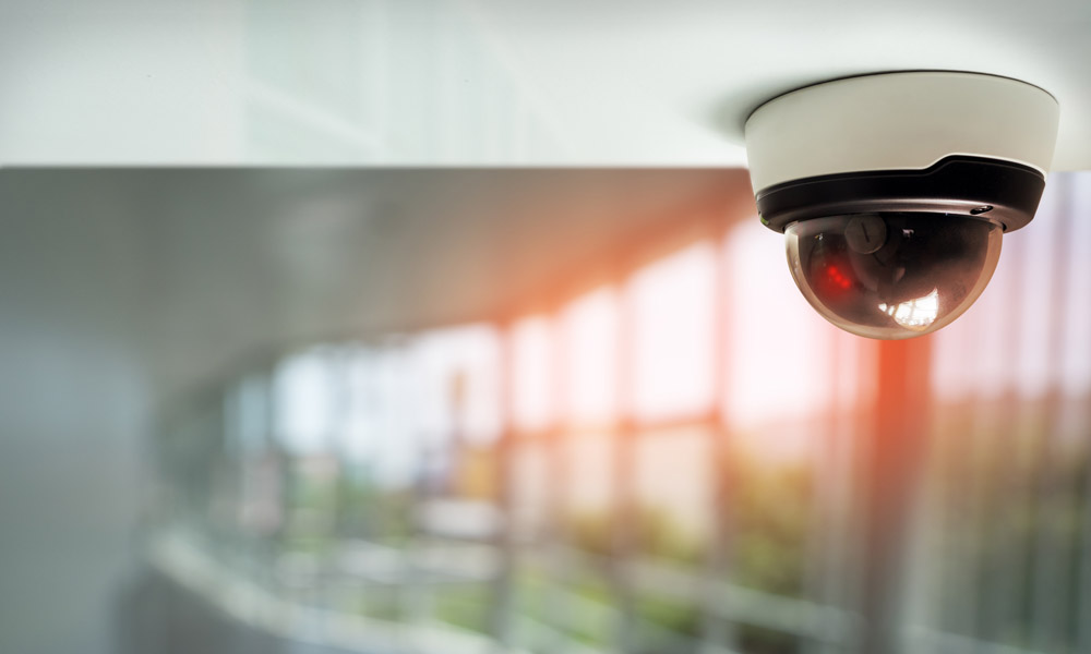 Что люди хотят получить от жизни за городом? №6