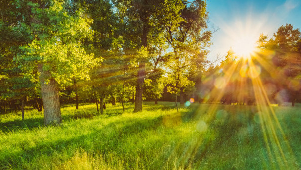 Сколько стоит земля: факторы и цены