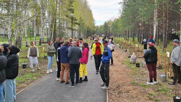 Аллея дружбы появилась в коттеджном поселке «Заповедник»