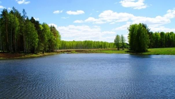 В поселке «Заповедник» выпущена рыба в пруд!