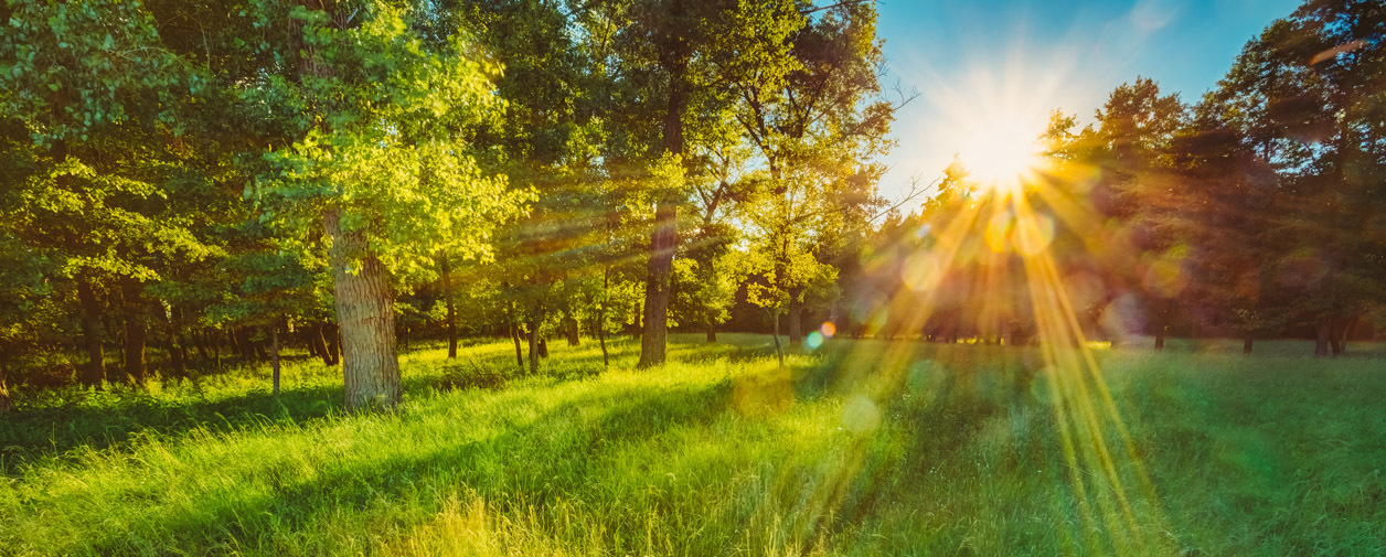 Сколько стоит земля: факторы и цены