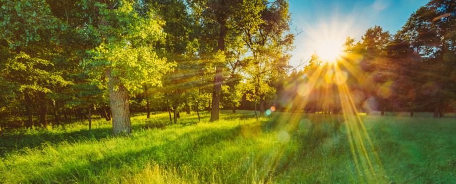 Сколько стоит земля: факторы и цены