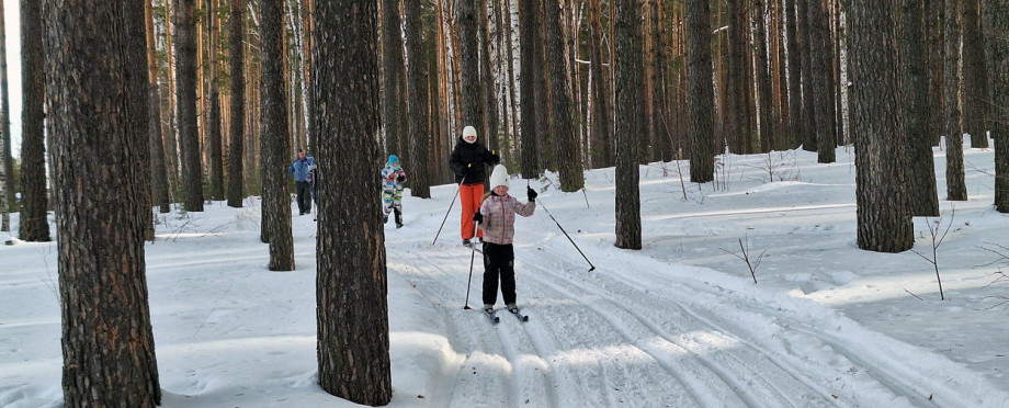 В «Заповеднике» открыта централизованная лыжня