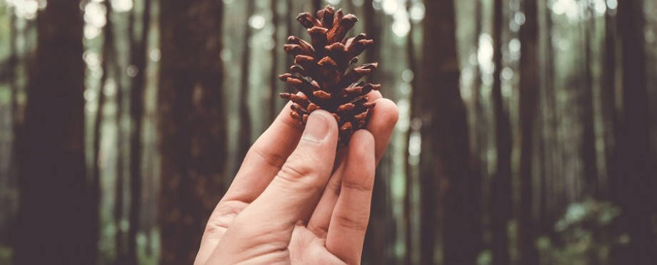 Жизнь за городом – мир, который мы создаем своими руками