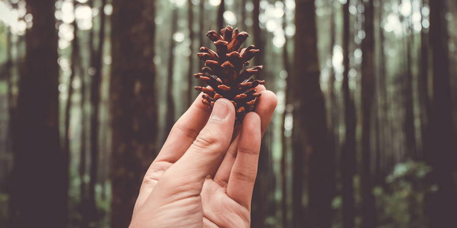 Жизнь за городом – мир, который мы создаем своими руками