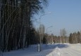 Заповедник в январе 17.01.2016 - вид №5