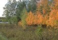 Дачный поселок “Лукоморье” 19.09.2012 - вид №9