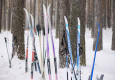В «Заповеднике» прошла «Лыжня России - 2021» - вид №35