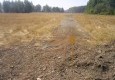 Лукоморье 10.08.2012 - вид №4