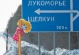 Дачный поселок “Лукоморье” 24.02.2013 - вид №4