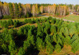 КП Заповедник с высоты птичьего полета - октябрь 2025 - вид №130
