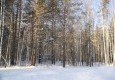 Заповедник в январе 17.01.2016 - вид №7