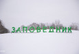 В «Заповеднике» прошла «Лыжня России - 2021» - вид №1